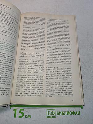 Огород с весны до осени