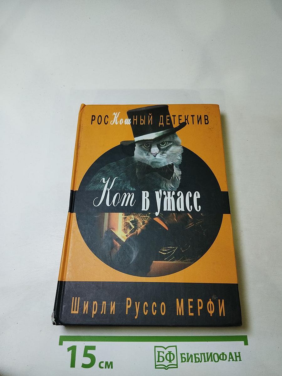 Кот в ужасе