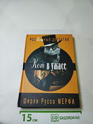 Кот в ужасе