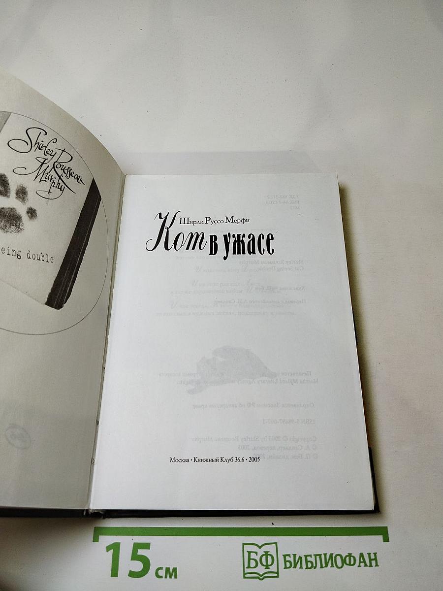 Кот в ужасе