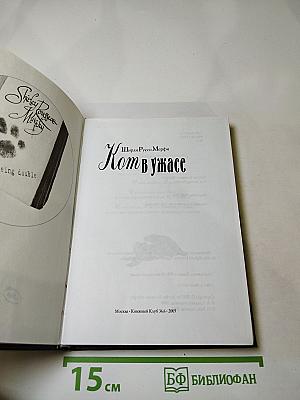 Кот в ужасе