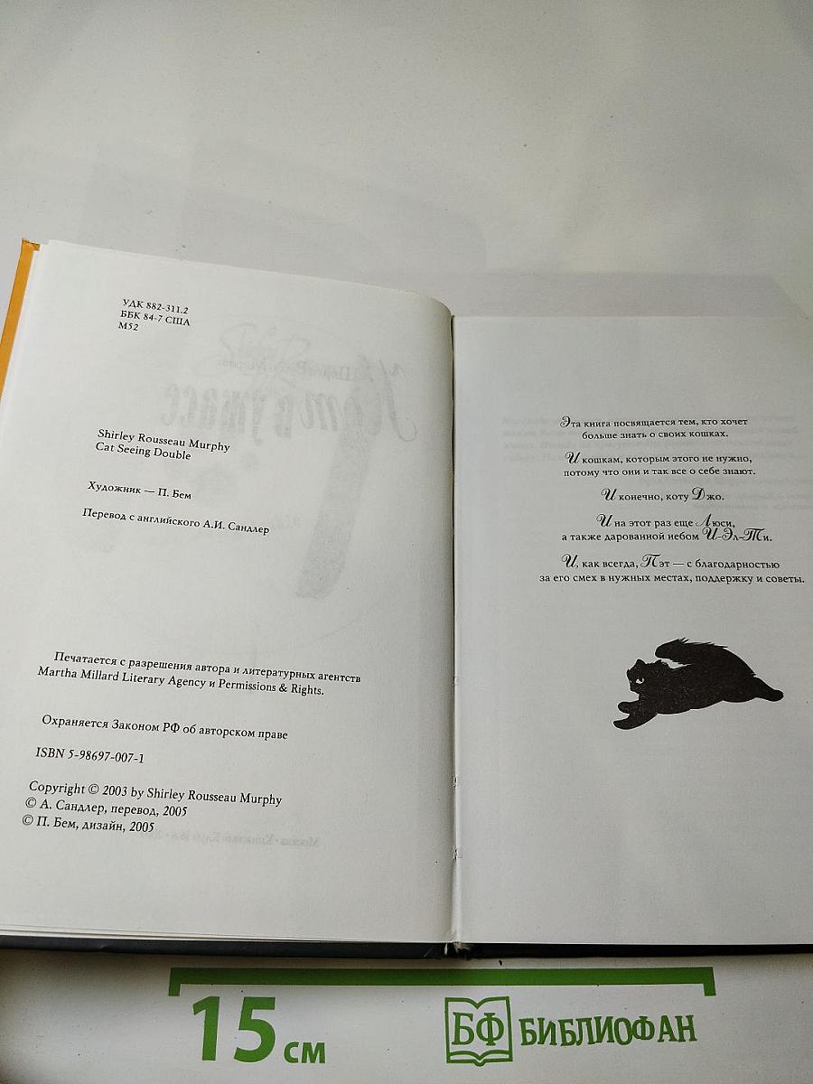 Кот в ужасе