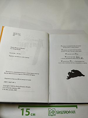 Кот в ужасе