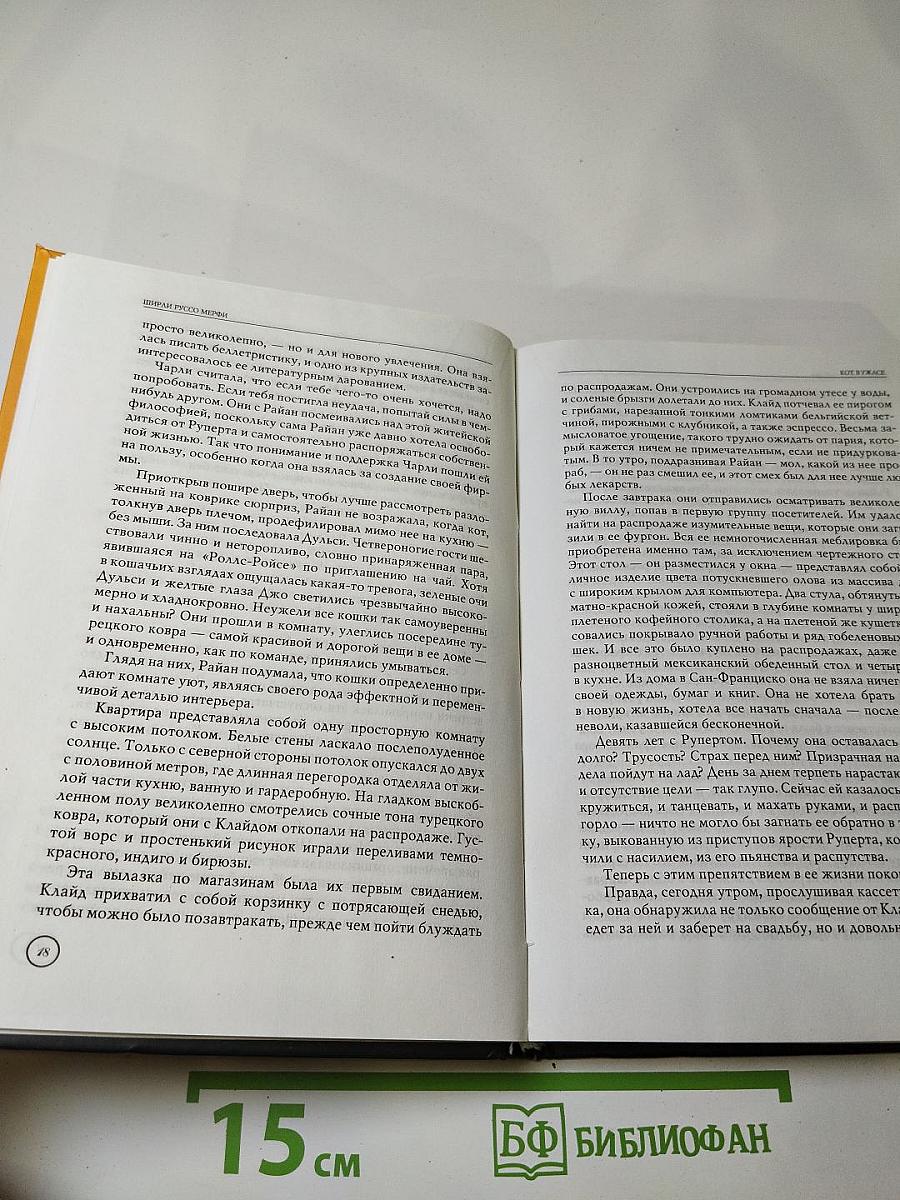 Кот в ужасе