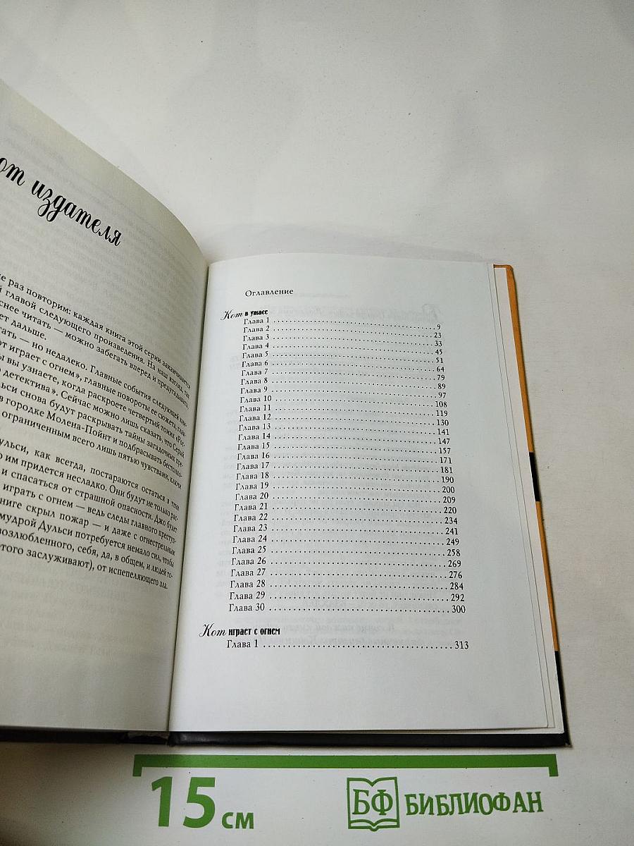 Кот в ужасе