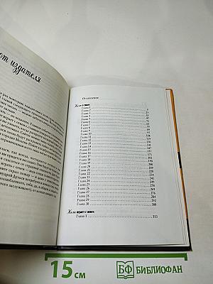 Кот в ужасе