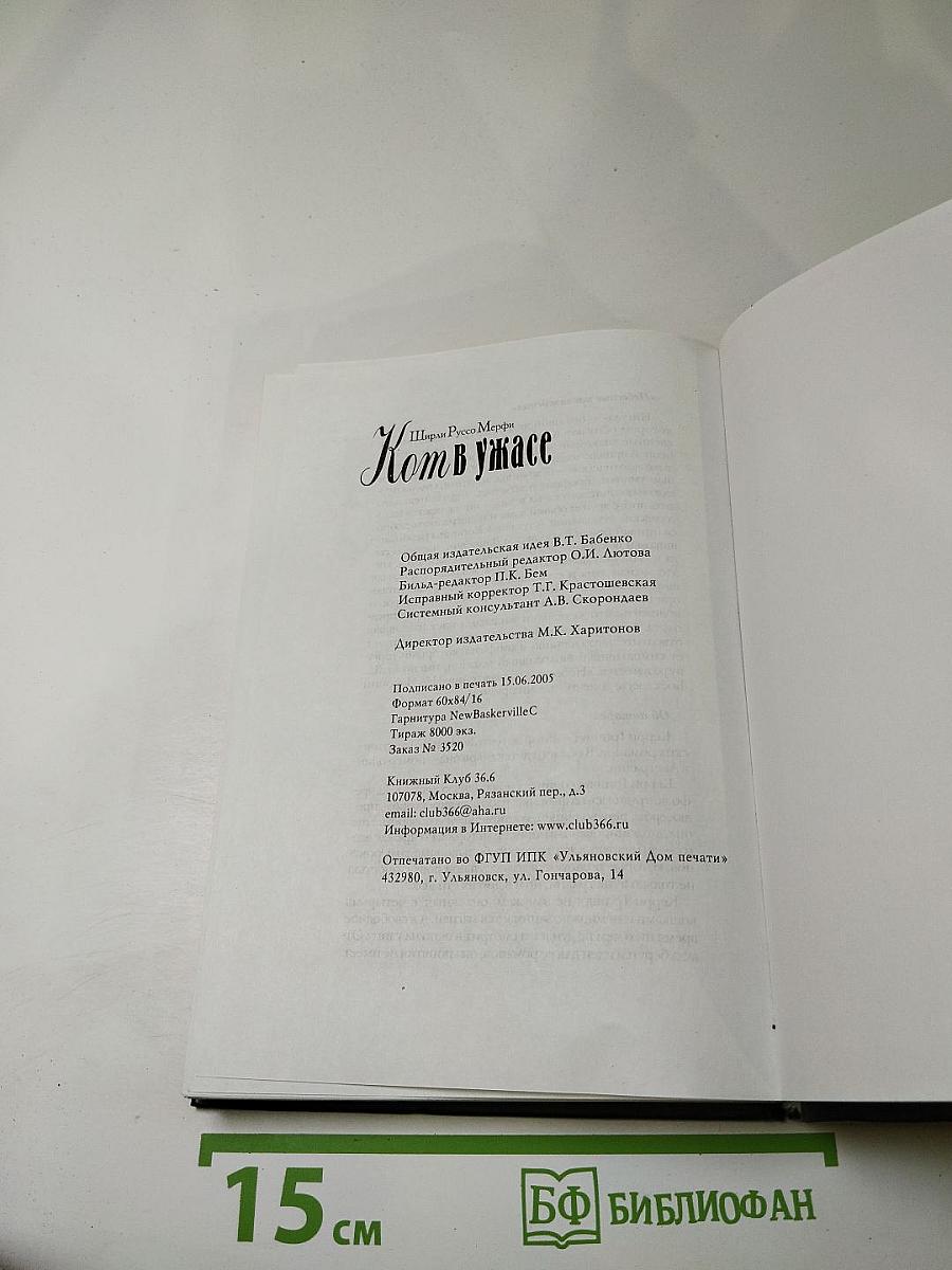 Кот в ужасе