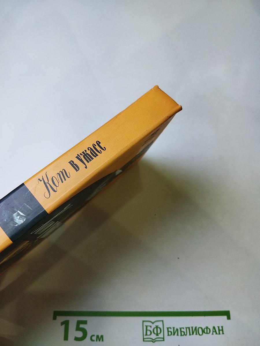 Кот в ужасе