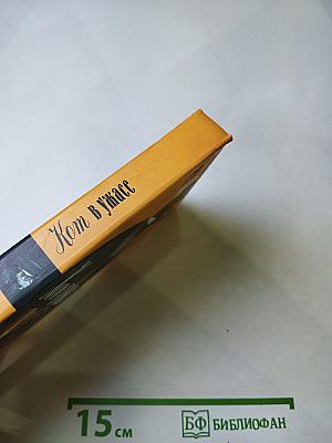 Кот в ужасе