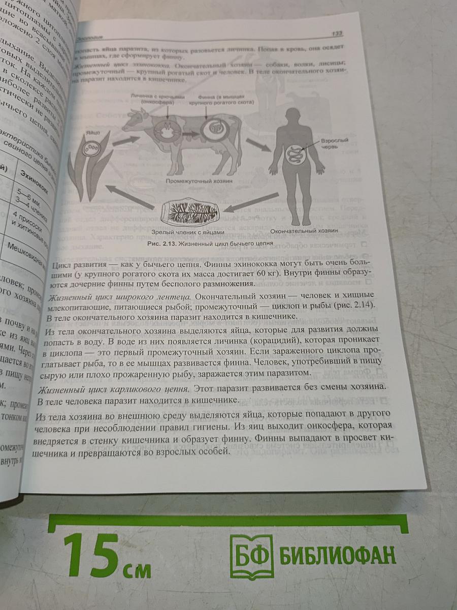 ЕГЭ по биологии. Практическая подготовка
