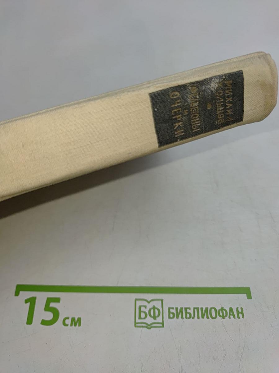 Фельетон и очерки