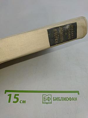 Фельетон и очерки