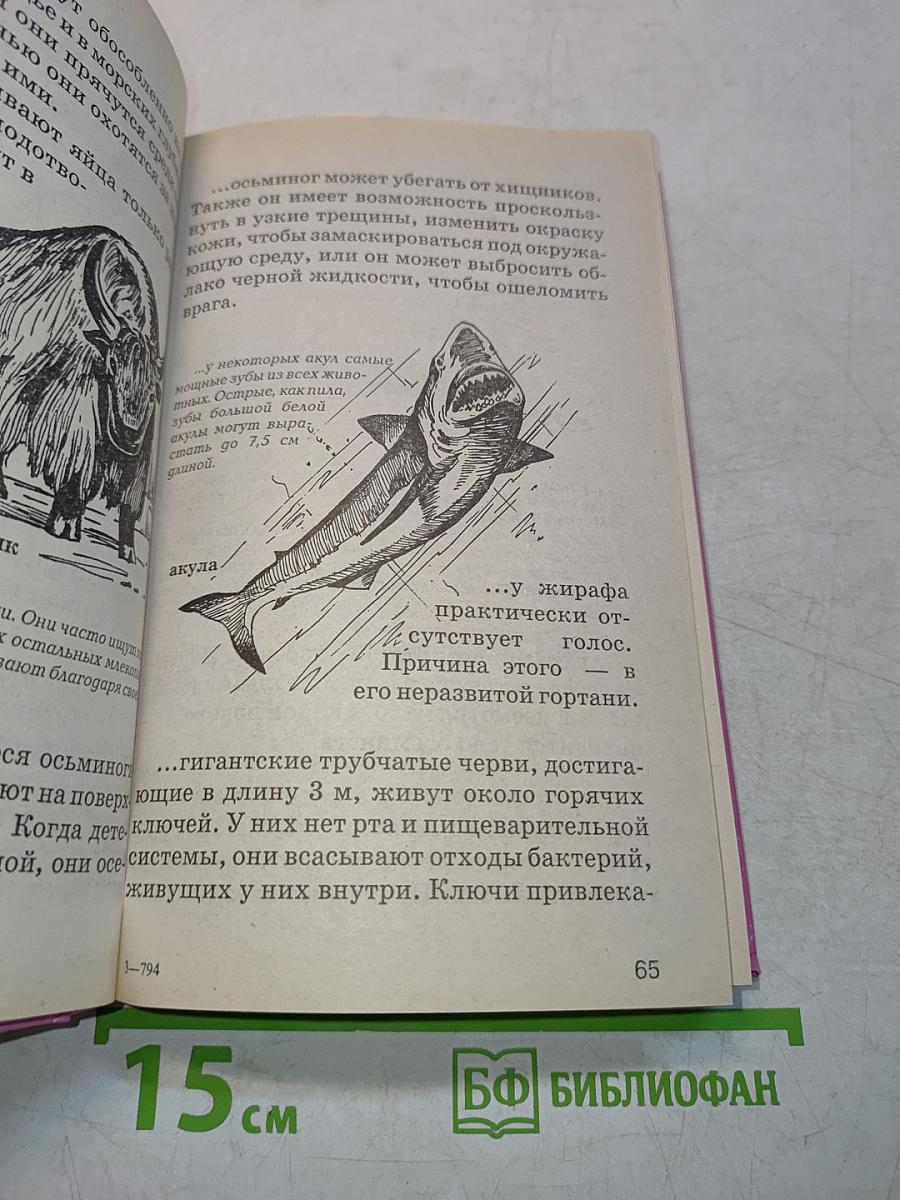 Знаете ли вы?