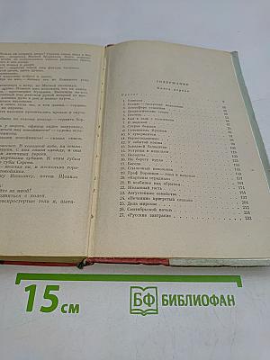 Северное сияние. Исторический роман в двух книгах. Книга первая