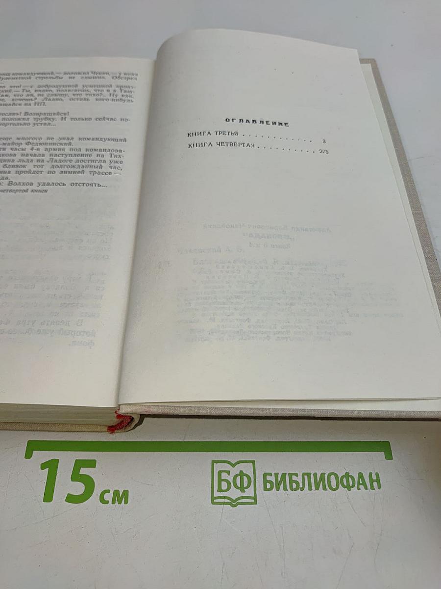Блокада. Книги третья и четвертая