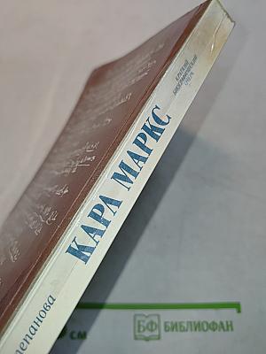 Карл Маркс: Краткий биографический очерк