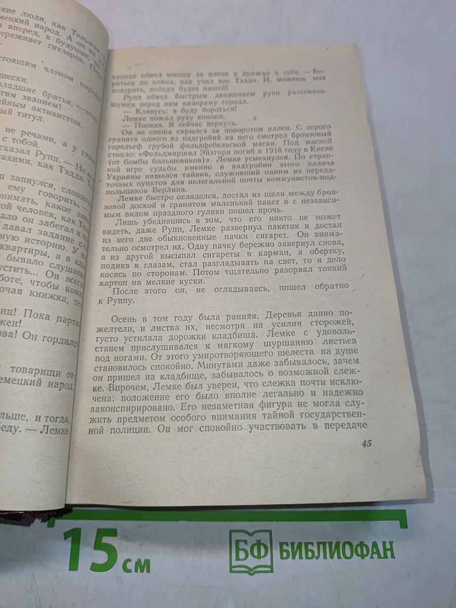 Поджигатели. Книга первая