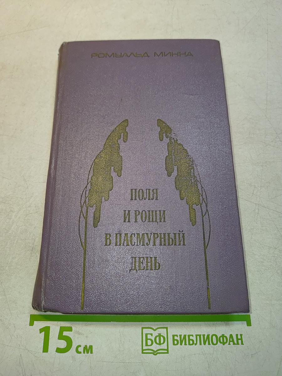 Поля и рощи в пасмурный день