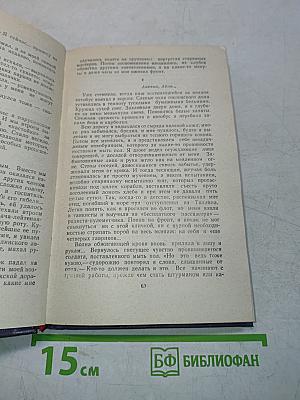 Поля и рощи в пасмурный день