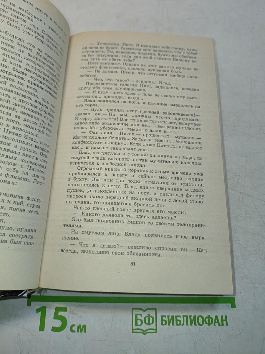 Одиссея капитана Блада. Хроника капитана Блада
