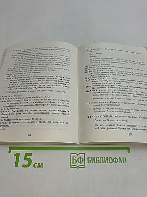 Дитер Форте