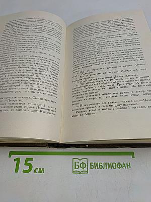 Собрание сочинений. Том восьмой. Анна Каренина. Роман в восьми частях