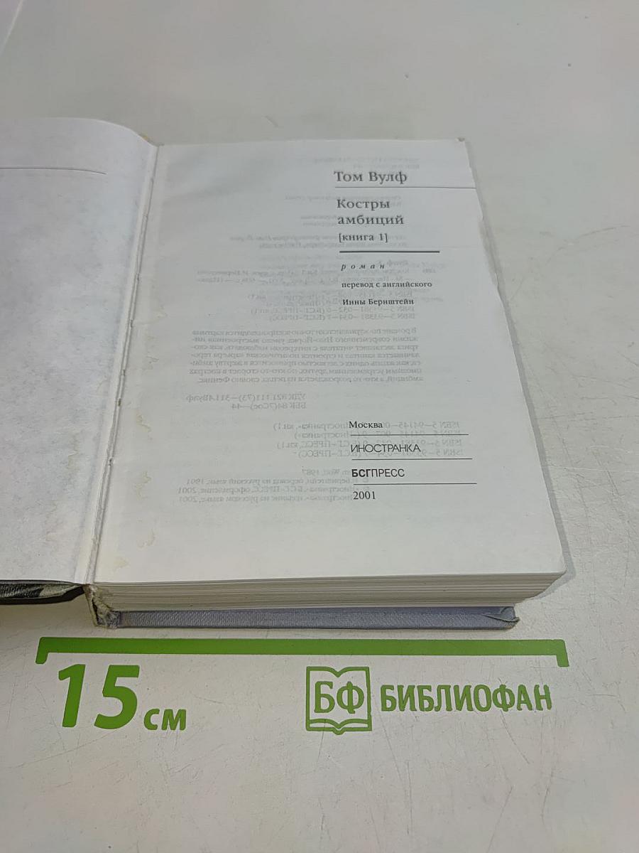 Костры амбиций (Книга 1)