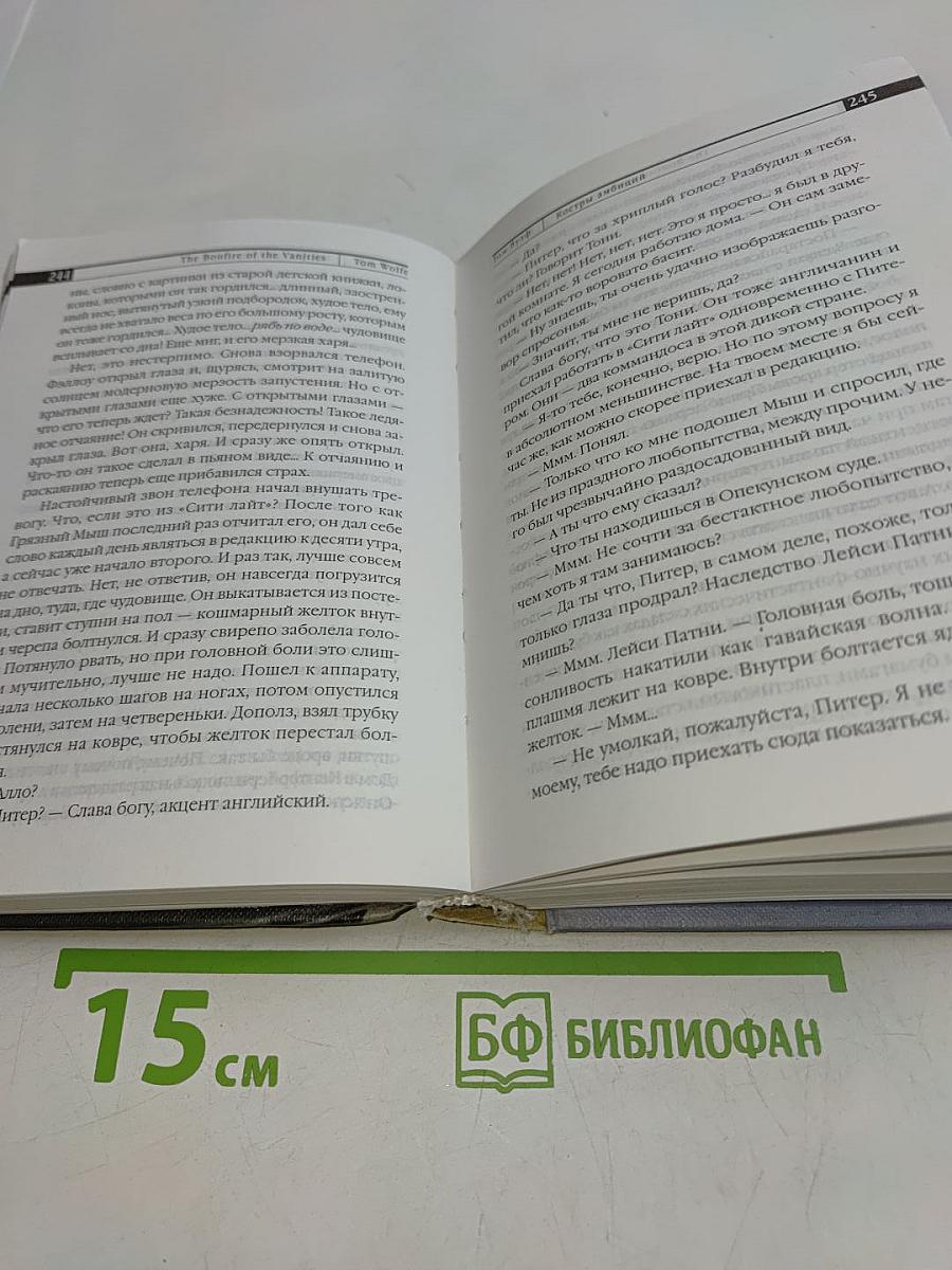 Костры амбиций (Книга 1)