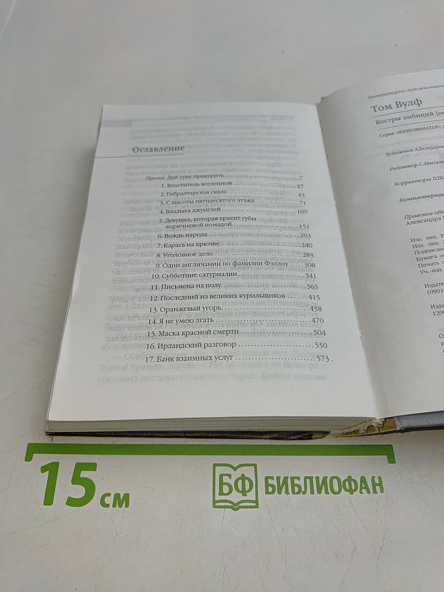 Костры амбиций (Книга 1)