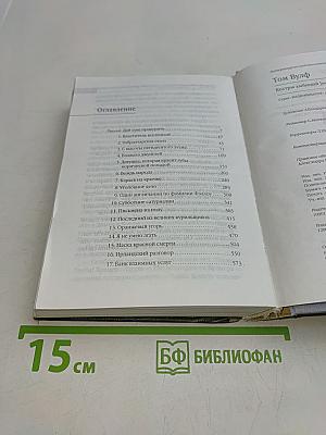 Костры амбиций (Книга 1)