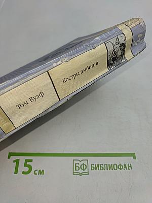 Костры амбиций (Книга 1)
