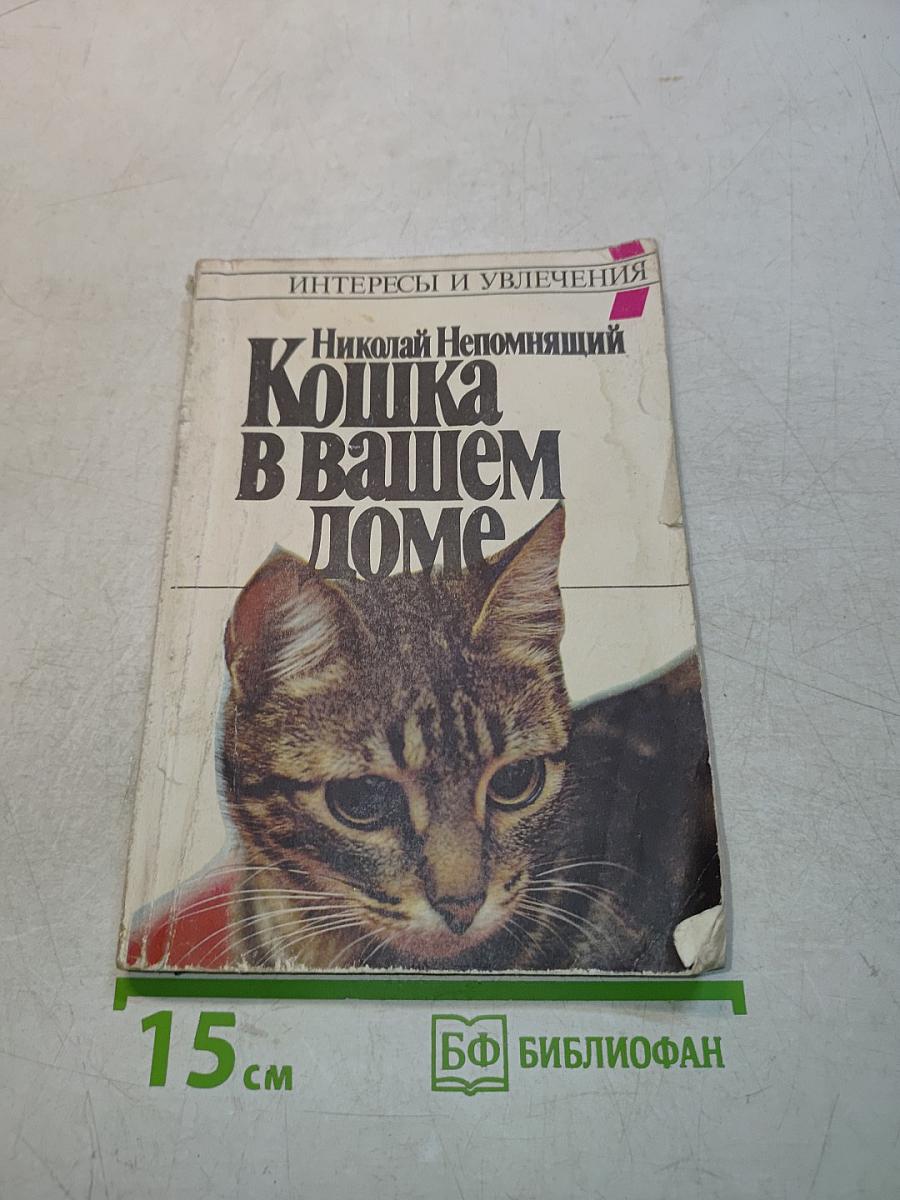 Кошка в вашем доме
