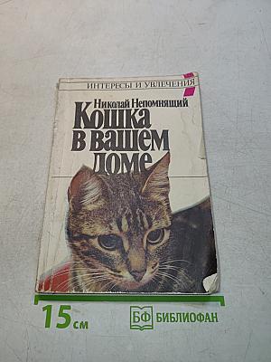 Кошка в вашем доме