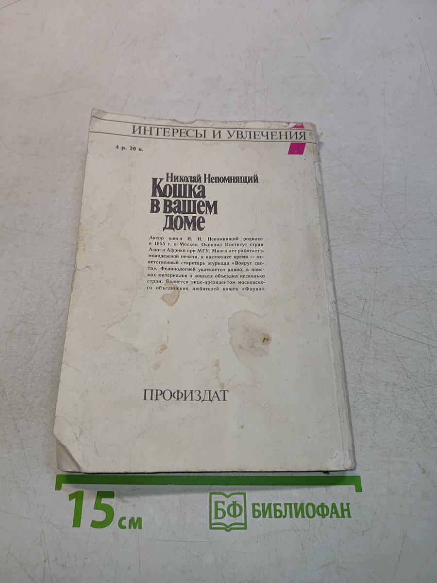 Кошка в вашем доме