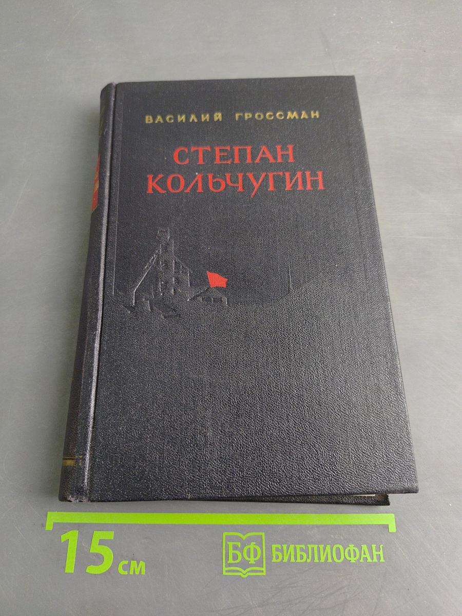 Степан Кольчугин. Роман в двух книгах. Книга первая