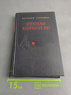 Степан Кольчугин. Роман в двух книгах. Книга первая