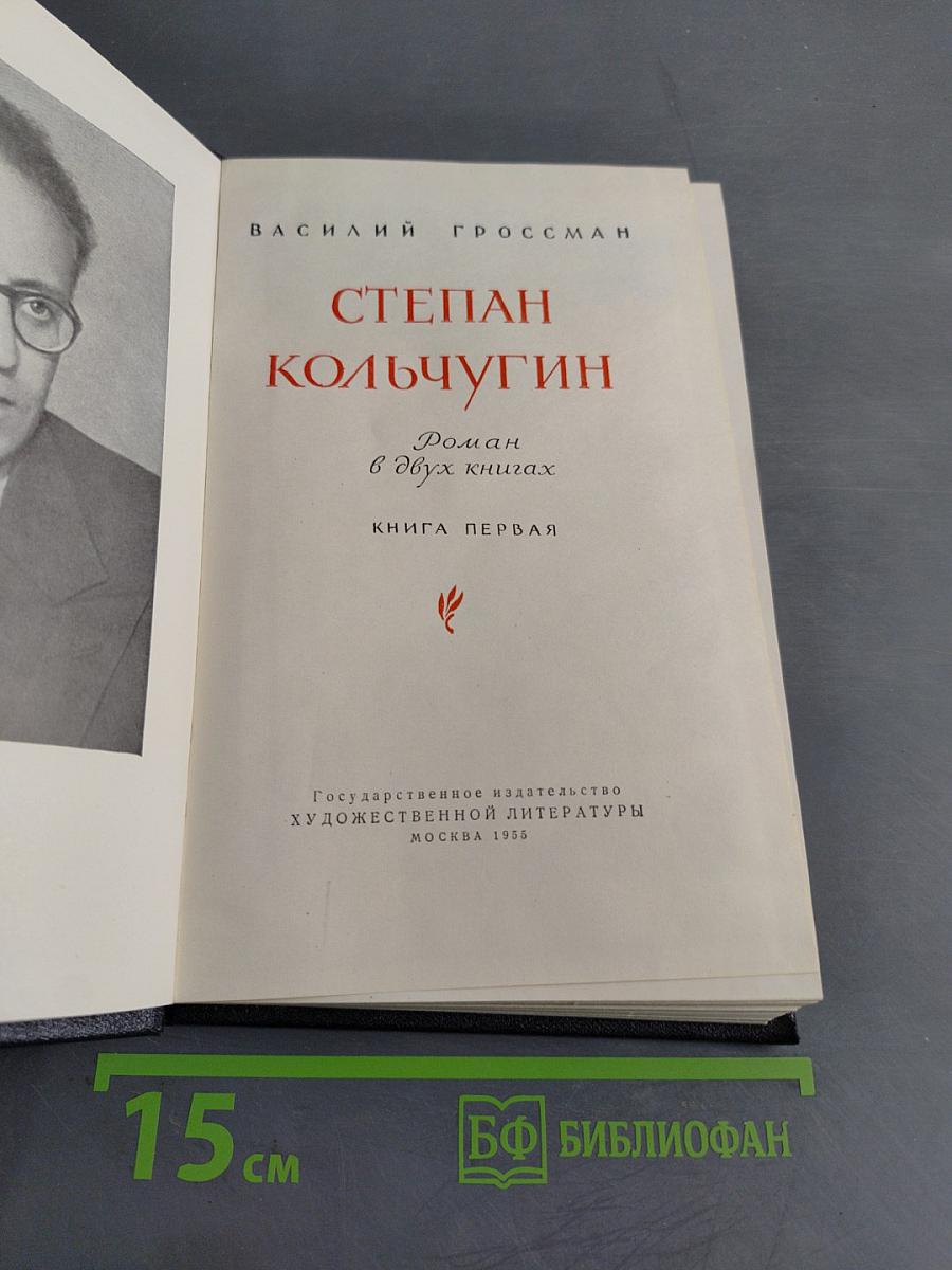 Степан Кольчугин. Роман в двух книгах. Книга первая