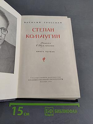 Степан Кольчугин. Роман в двух книгах. Книга первая