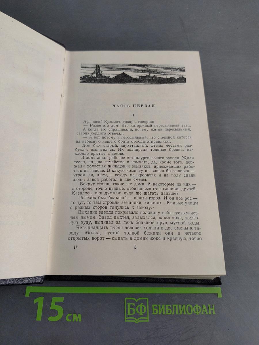 Степан Кольчугин. Роман в двух книгах. Книга первая