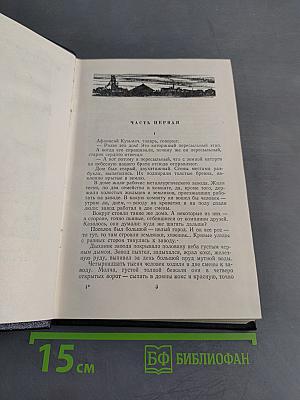Степан Кольчугин. Роман в двух книгах. Книга первая