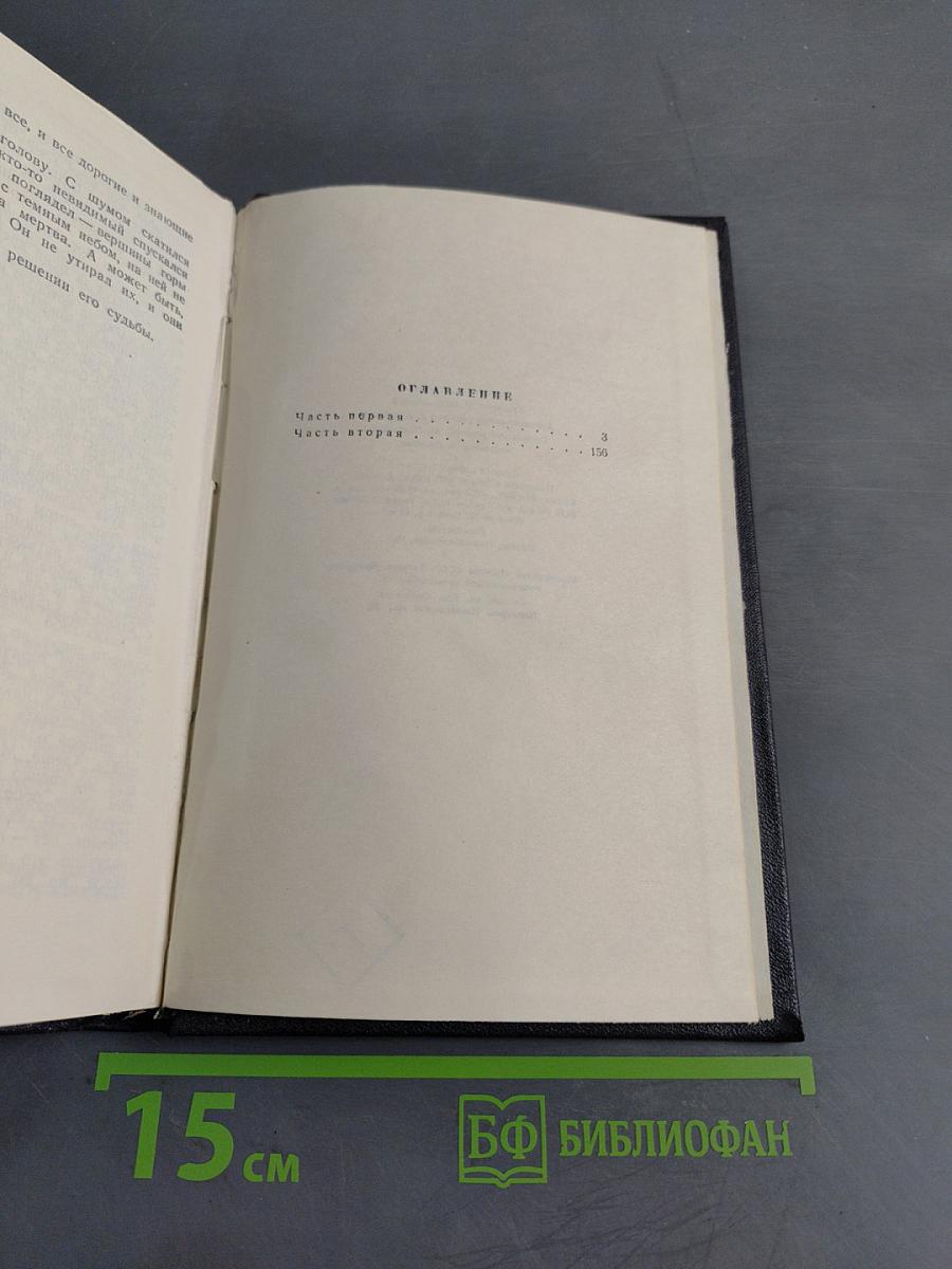 Степан Кольчугин. Роман в двух книгах. Книга первая