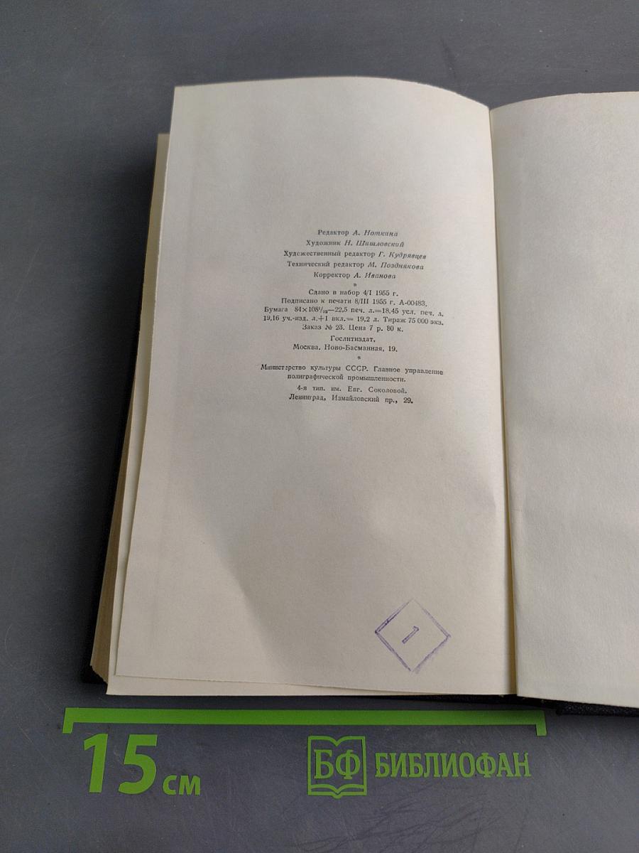 Степан Кольчугин. Роман в двух книгах. Книга первая