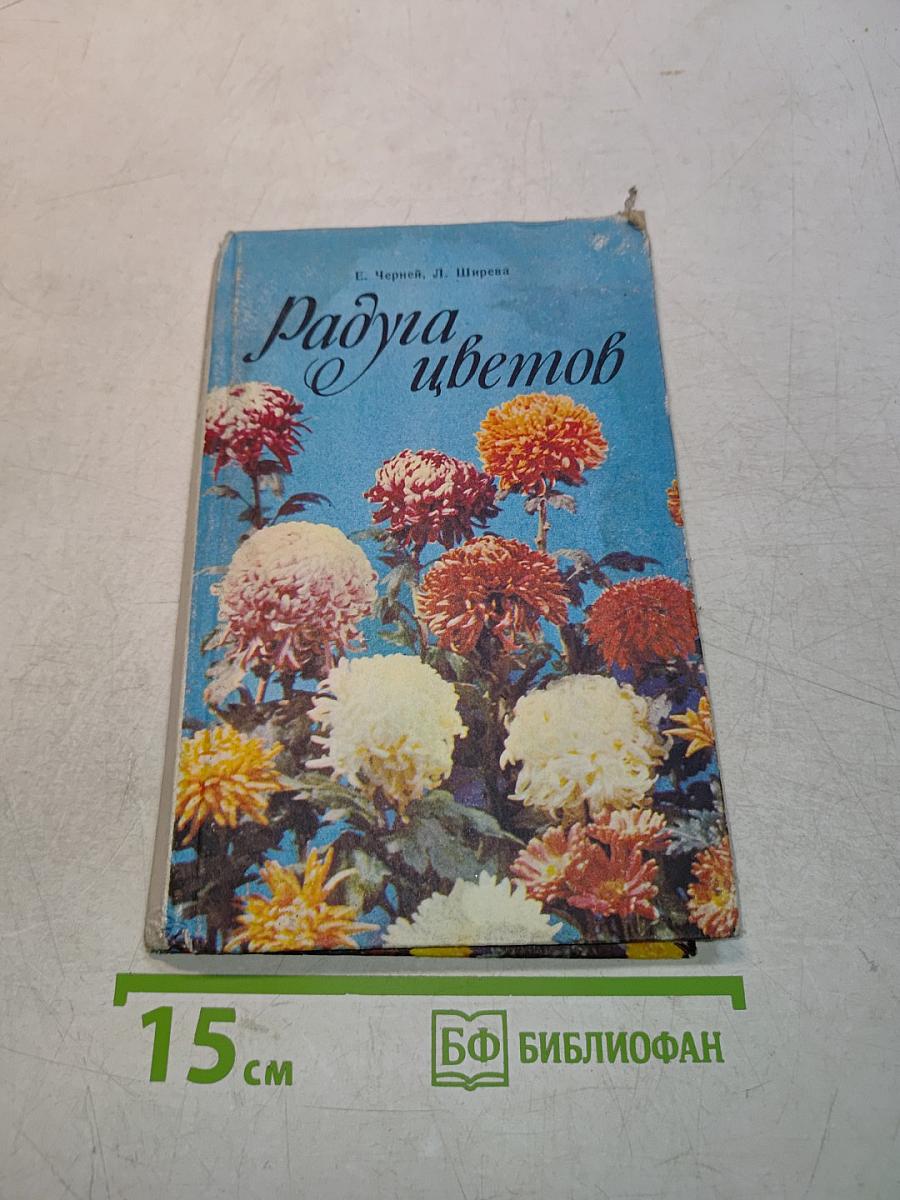 Радуга цветов
