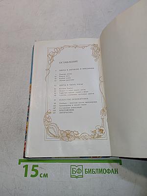 Радуга цветов