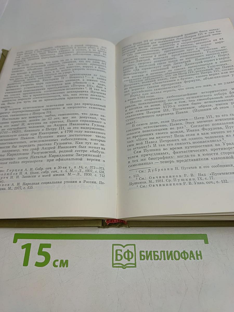 Пушкин. История и современность в художественном познании поэта