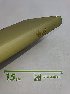 Пушкин. История и современность в художественном познании поэта