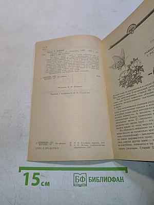 Третий глаз