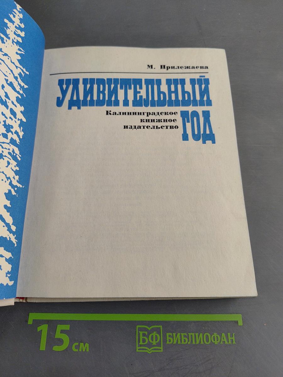 Удивительный год