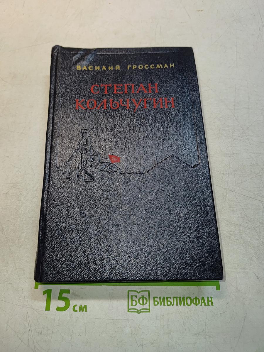 Степан Кольчугин. Книга вторая