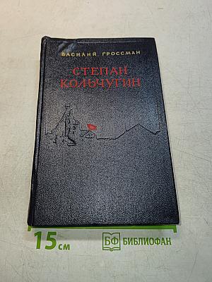 Степан Кольчугин. Книга вторая